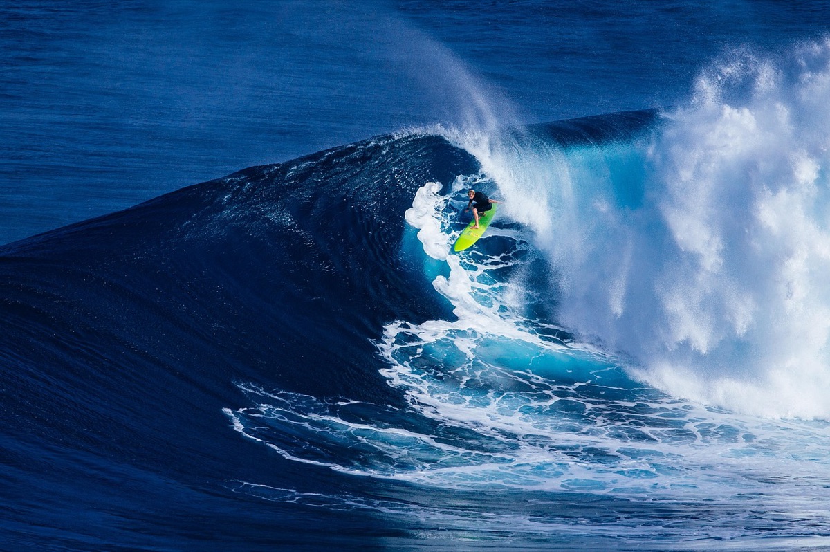 Surfing wave Oahu