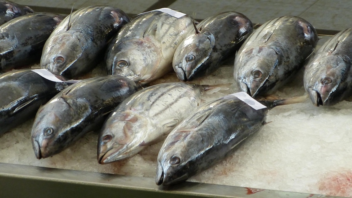 hawaiian market fresh fish and local seafood