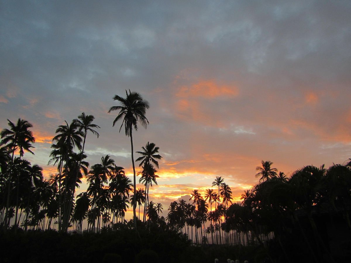 despertar de hawaii sobre el océano