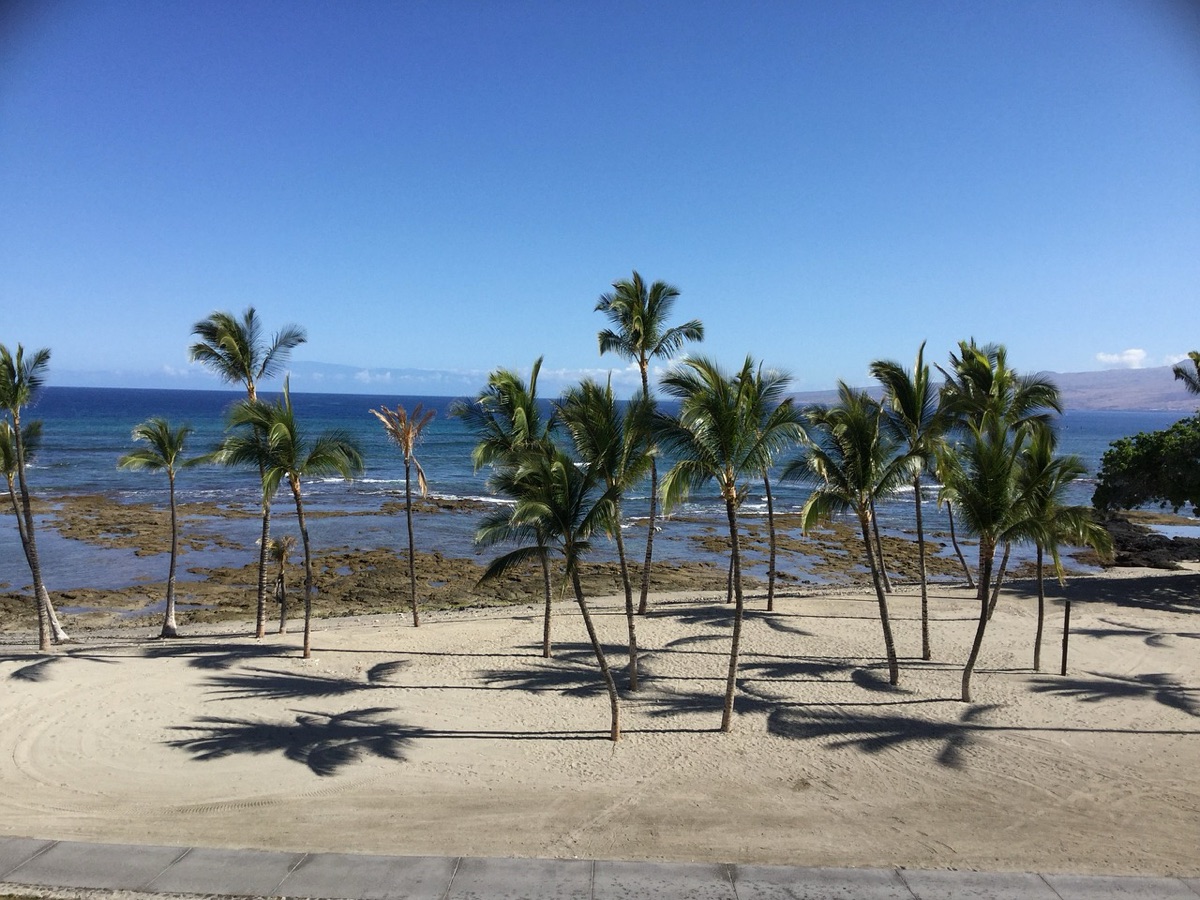 哈威 beaches 與棕櫚樹，展現度假風景