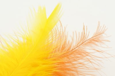 Gâteau Hawaïen : Capturez l'esprit tropical en 2,5 heures