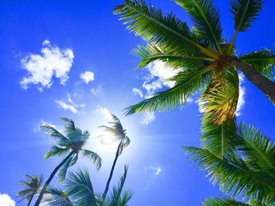 夏威夷Halekulani：最接近天堂的奢華蜜月之旅