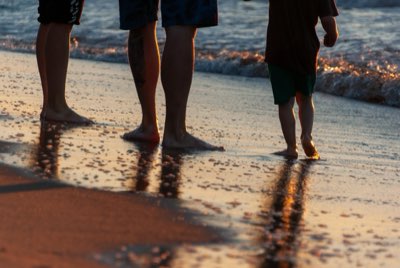 North Shore Surfing & Whale Watching: Winter's Hawaiian Draw