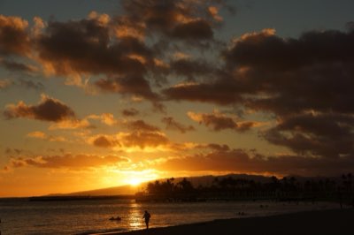 Hawaii 2026: Esperienze vulcaniche e oceaniche da pianificare