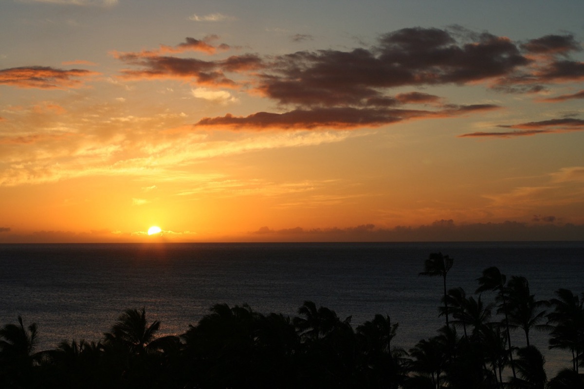 hawaiian luau dance, hawaii activity, tour tip, hawaii tour, hawaii travel tip