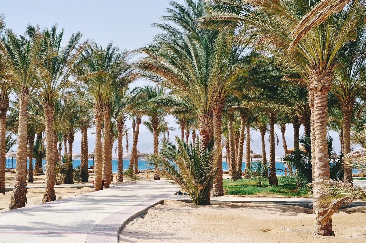 Chambre d'hôtel à la plage