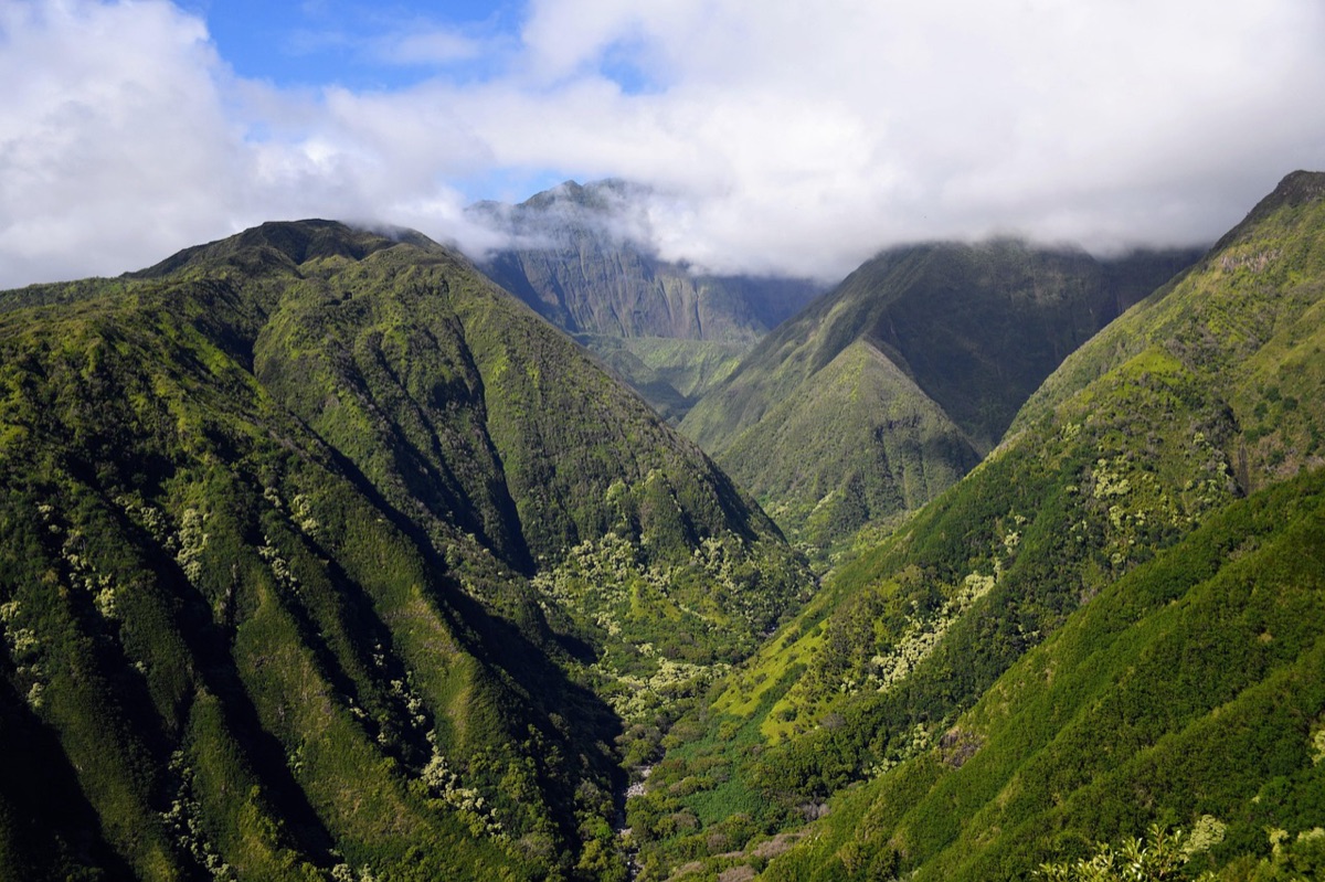 opzioni di trasporto locali in hawaii