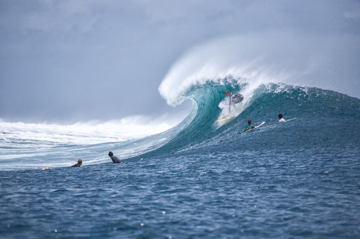 Palma de surf en Hawaii