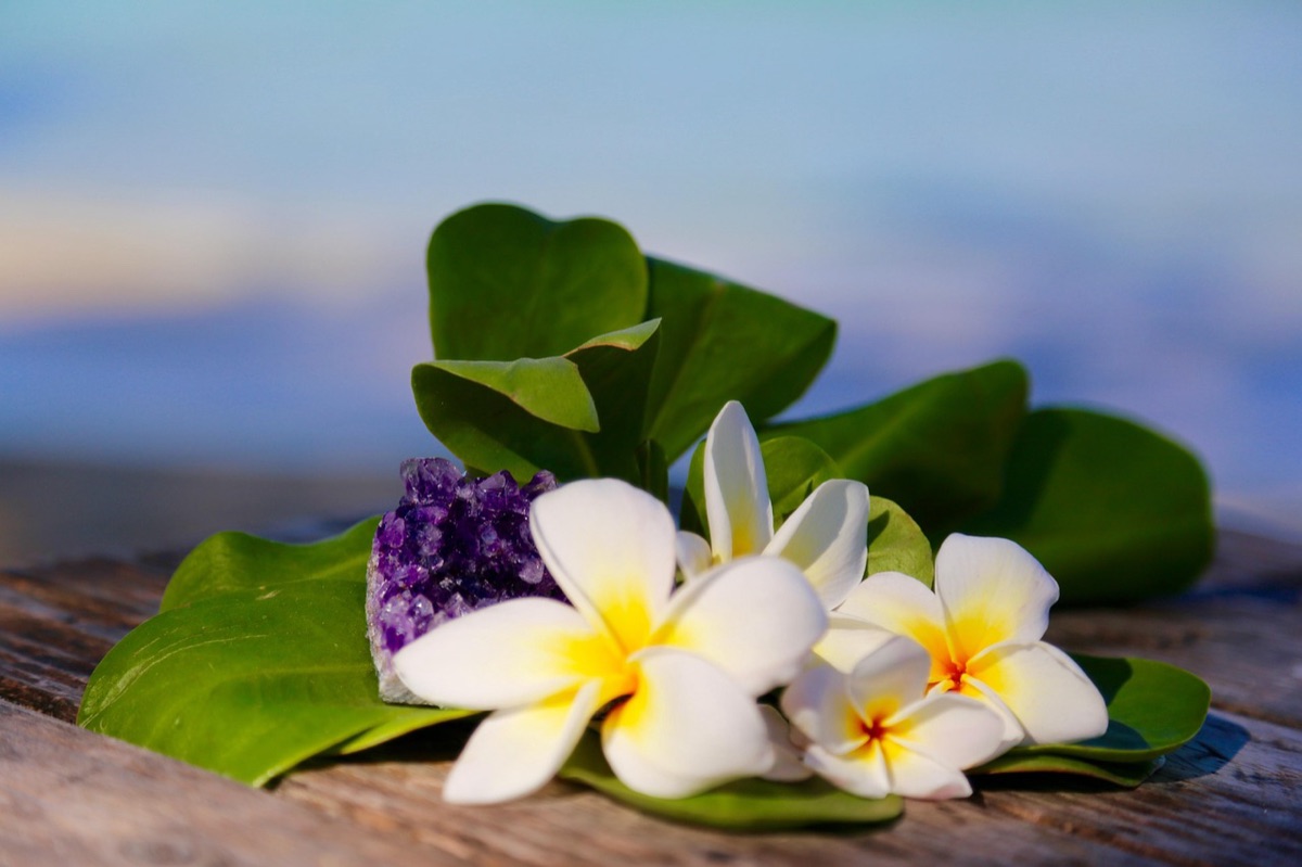 Evenements de plage en hawaï