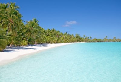 夏威夷旅遊時機指南：鯨魚季與衝浪季的完美搭配完整指南