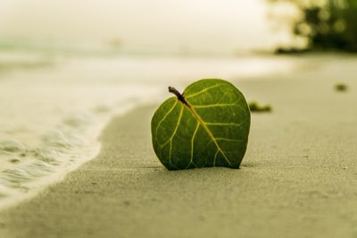 7 Days in Hawaii: Tailoring Your Journey to the Island