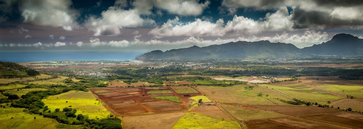 Hawaii eilandmerken en strandadvies
