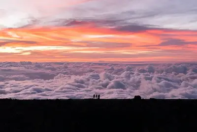 Militärische Erfahrung für politischen Aufstieg in Hawaii