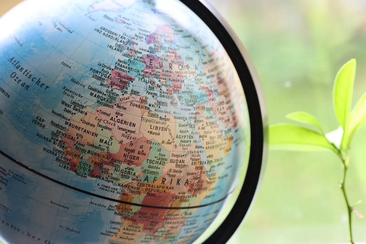 africa, growth, development, plant, light, boom, world map, business, stock exchange, globe, map of the world, world, continent, earth, geography, nature, map,