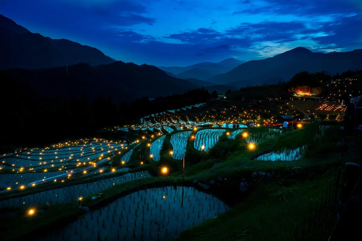 rice terraces, rice paddies, farm, agriculture, farming, cultivation, rice farm, plantation, night sky, illuminated, japan, maruyama, senmaida, nature, terraced